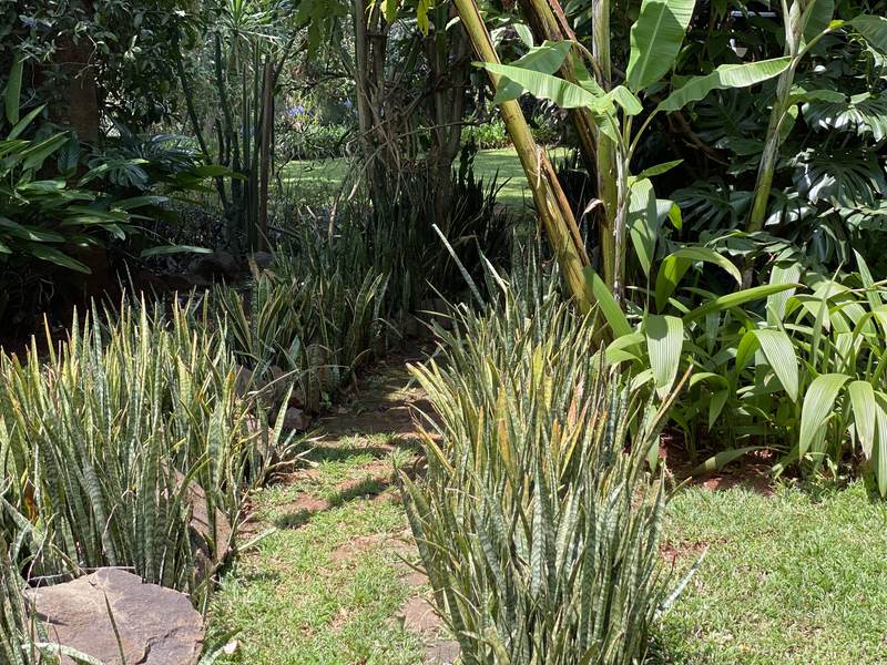 Manor on Lower Kabete - Mature Garden
